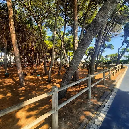 Mansarda Azzurra - Myho Casa *